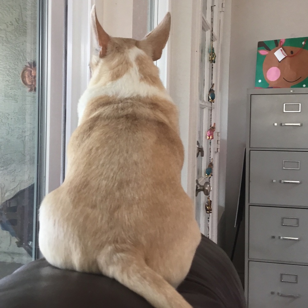 Meet your Posher, Marisol